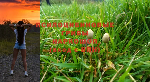 MESCALINE Белокуриха