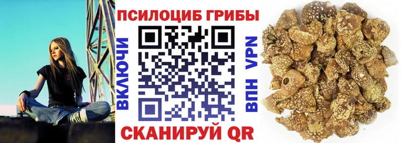 KRAKEN маркетплейс  нарко площадка клад  Галлюциногенные грибы мухоморы  Гремячинск 